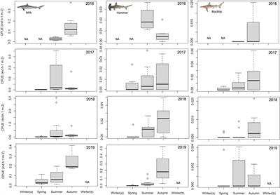 Evidence for the first multi-species shark nursery area in Atlantic Africa (Boa Vista Island, Cabo Verde)